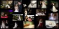 /album/pintura-y-fotografia/fotografia-de-bodas-bautizos-comuniones-celebraciones-eventos-jpg/